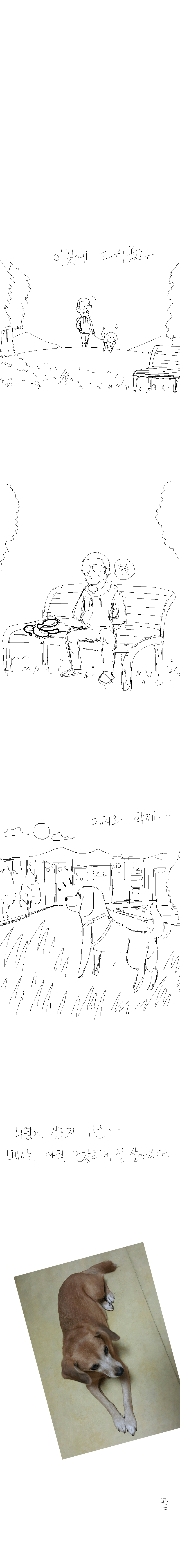  개 키우는 만화 | 인스티즈