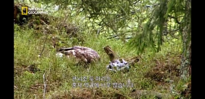 분노조절을 잘 해야하는 이유 | 인스티즈