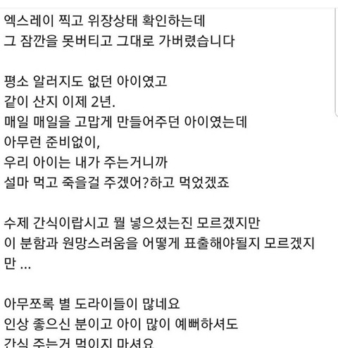 강아지 산책 중에 간식 얻어먹고 죽었어요 | 인스티즈