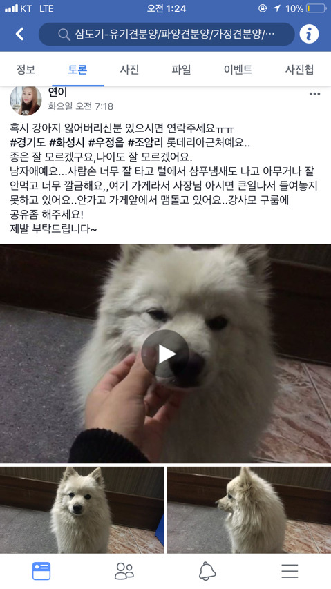 곧 안락사될 아이 보고가줘ㅠㅠㅠ 학대받았던 아이랑 길잃은 아이있어ㅠㅠ | 인스티즈