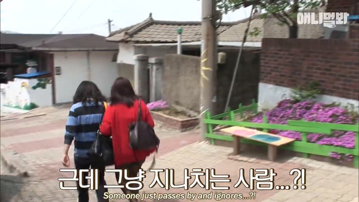 모른척 지나가면 짖는 삼식이.jpg | 인스티즈