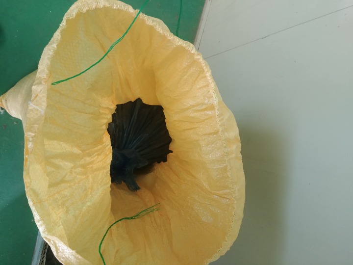 찬희네 해피팜스 이미지