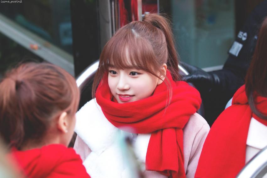 [아이즈원] 작은 댕댕 | 인스티즈