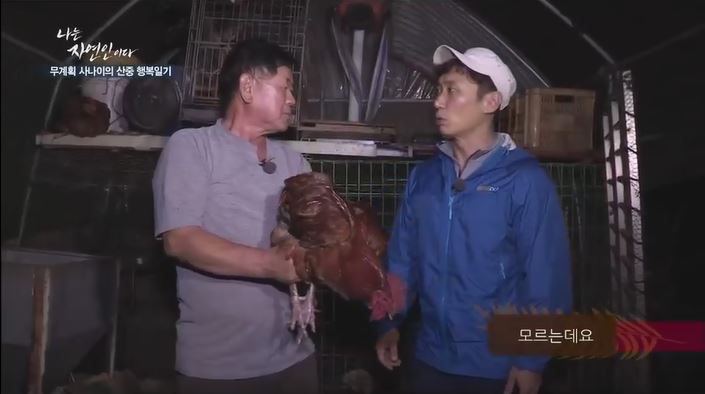 자연인 이미지