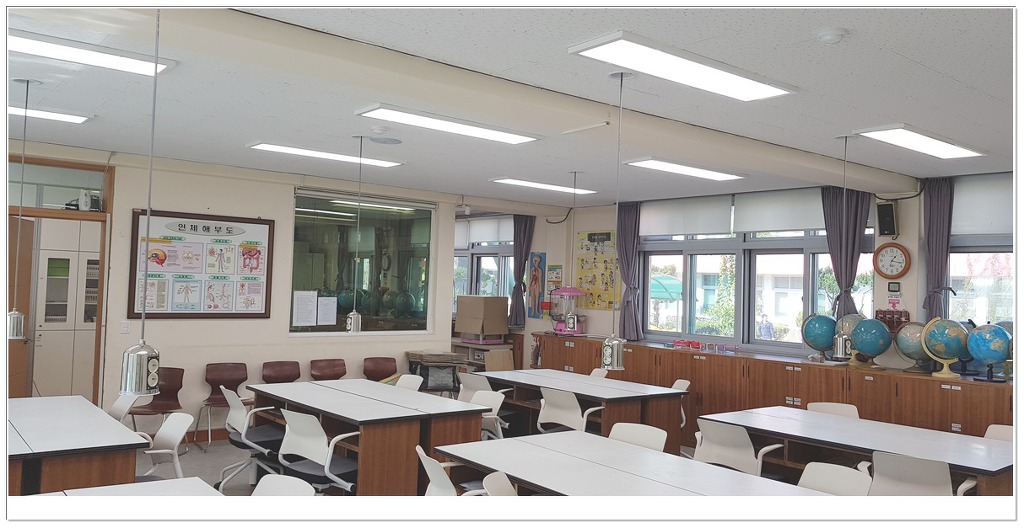 동광초등학교 이미지