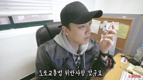 차에 탈때 강아지를 운전자가 안고 타거나 조수석에 아무런 장치 없이 태우면 도로교통법 위법 | 인스티즈