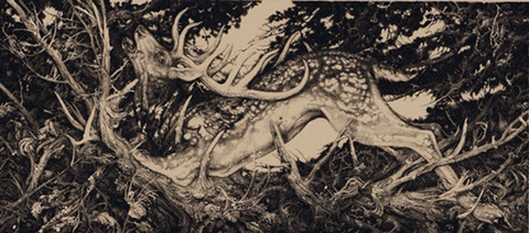 [예술] 러시아 출신 영국 일러스트레이터 Vania Zouravliov (다소 기괴주의) | 인스티즈