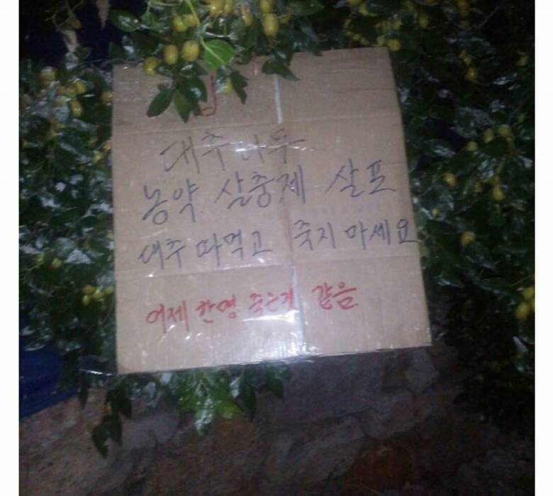 대추 따먹지 마세요.jpg | 인스티즈