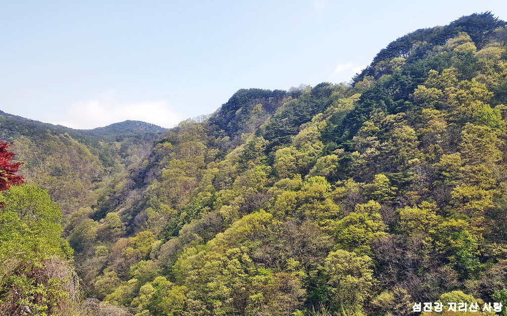 남원지리산 이미지
