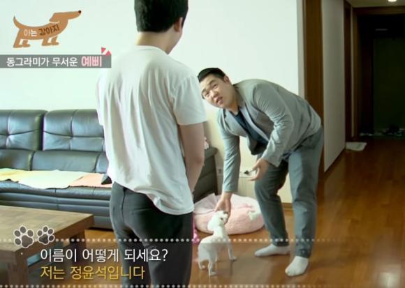 강아지 조련사 가정방문 | 인스티즈