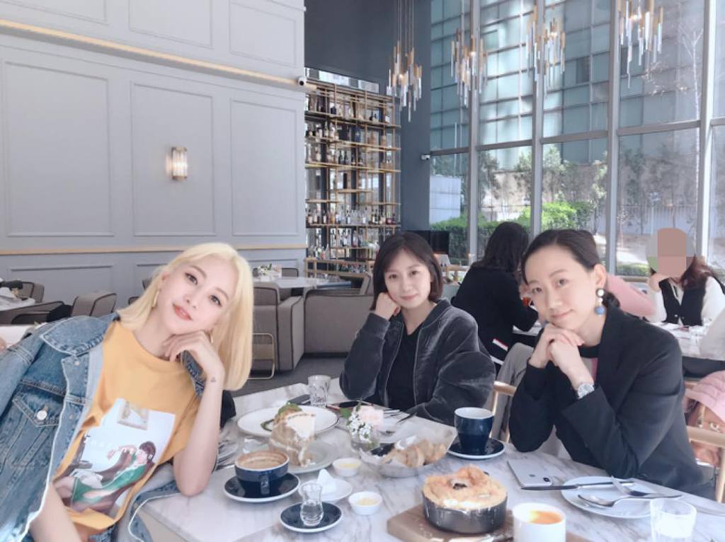 고양이상 끝판왕 연예인.jpgif | 인스티즈