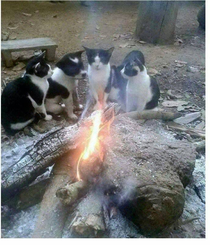 우리 중에 첩자가 있는거 같은데.jpg | 인스티즈