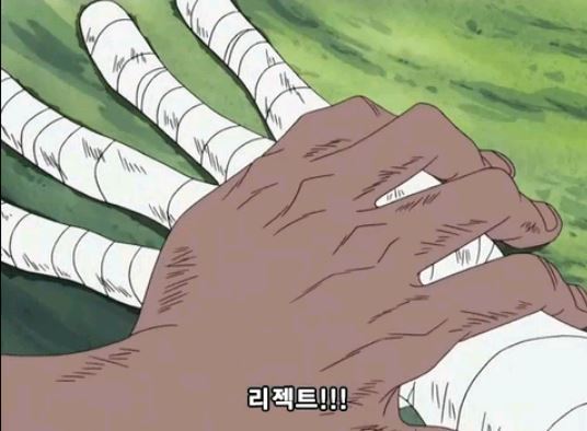 원피스 핵간지 캐릭터 ㄷㄷㄷ | 인스티즈