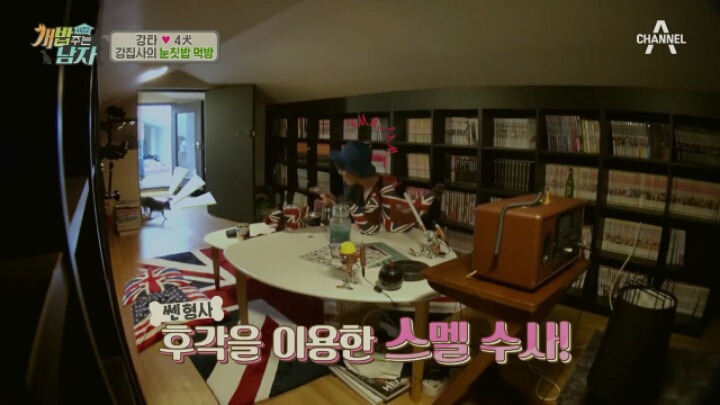 강아지 진짜 좋아하는 사람들은 잘 안치는 장난.jpg | 인스티즈