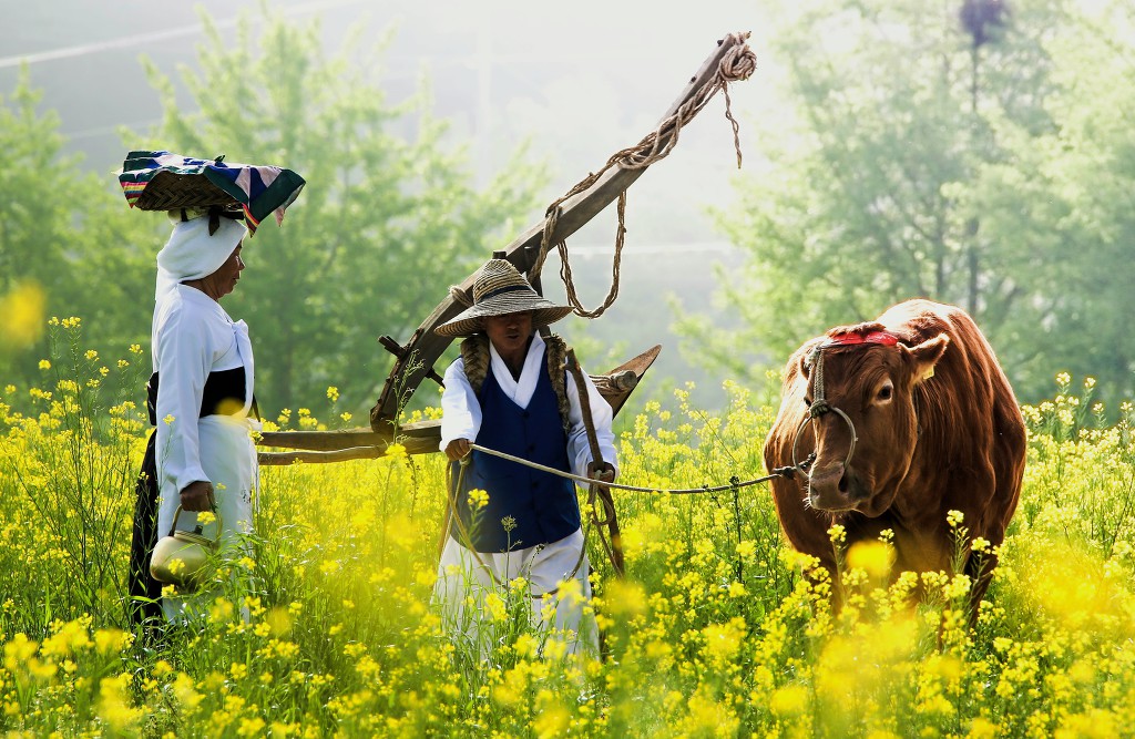 빛바람 이미지