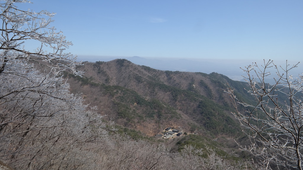 솔벗 이미지