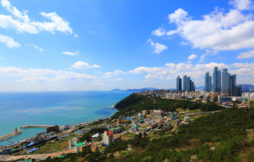 부산 달맞이 고개의 변화.jpg | 인스티즈