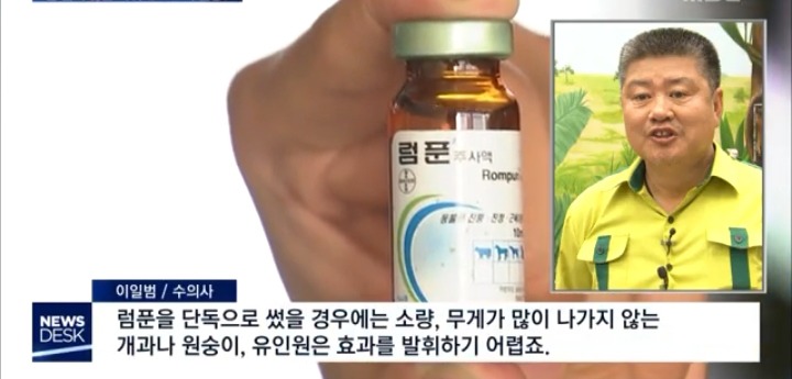 대전 보문산 원숭이 포획 실패한 이유 | 인스티즈