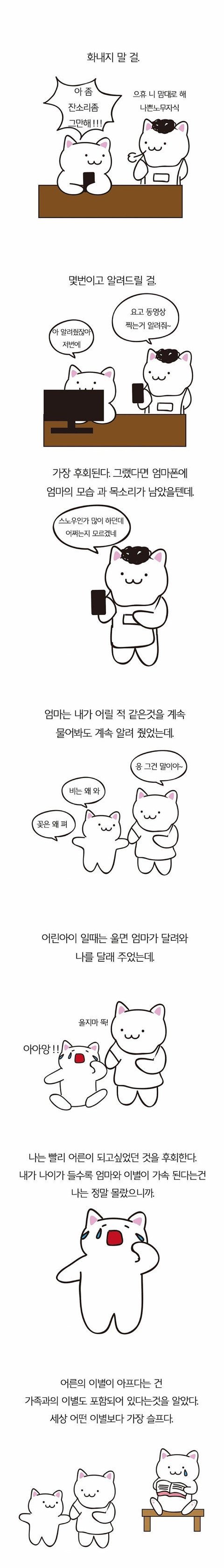 엄마가 돌아가셨다 | 인스티즈