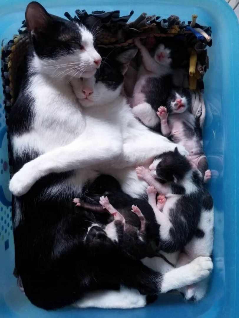 단칸방 이미지
