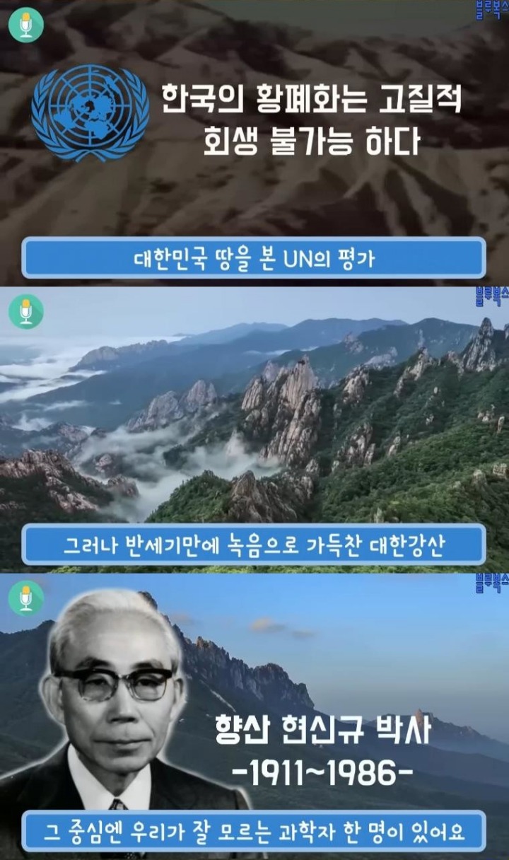 대한민국 산림에 나무가 있는 이유 | 인스티즈