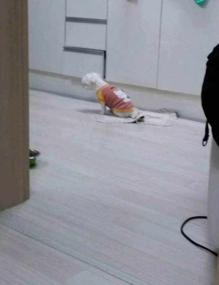 외출한 가족 집에 빨리 돌아오게 하는 방법.jpg | 인스티즈