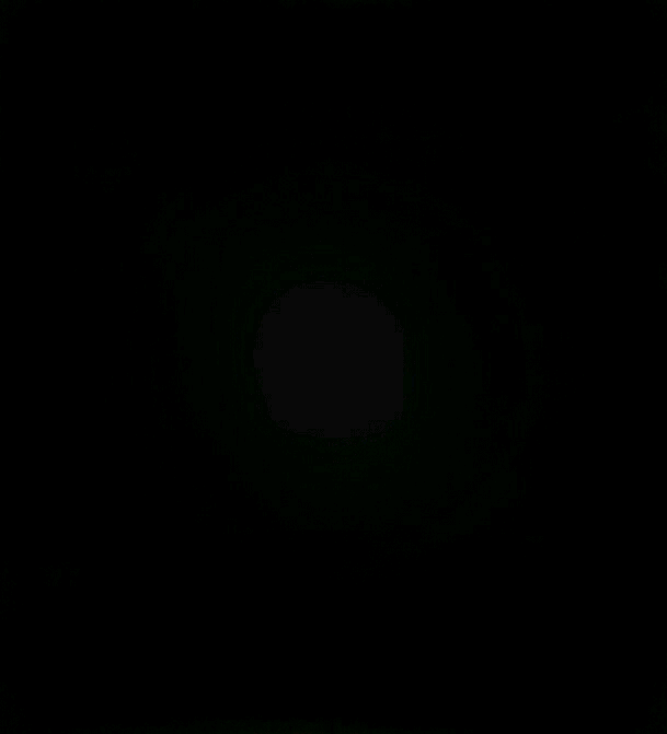 박항서 감독님 입장하십니다 | 인스티즈