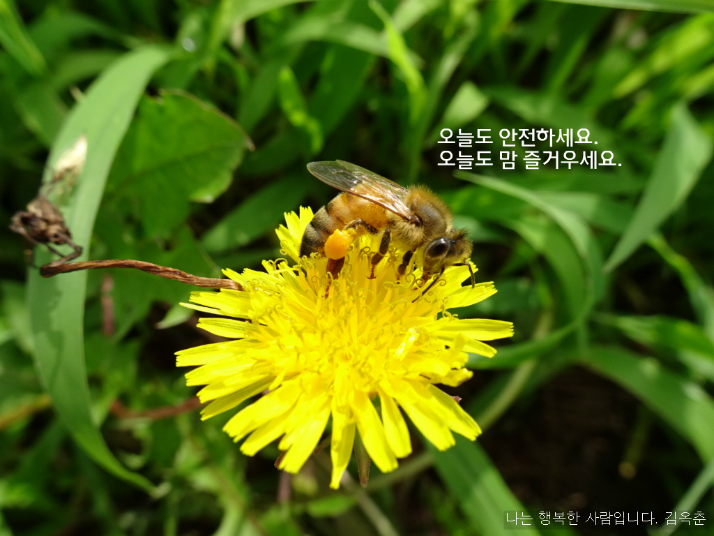 행복8 이미지