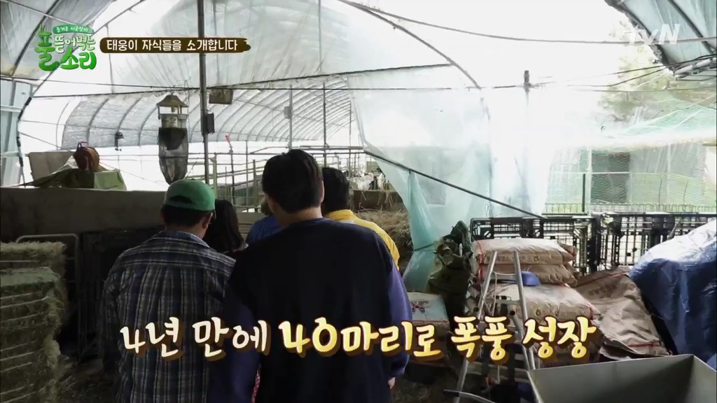 [풀뜯어먹는소리] 닭에서 시작해 소까지 살 수 있게 된 중딩농부 태웅.jpg | 인스티즈
