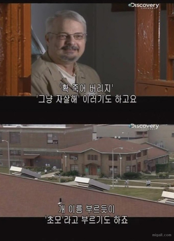 미국 교도소에 아동성범죄자가 들어가면 생기는일 | 인스티즈