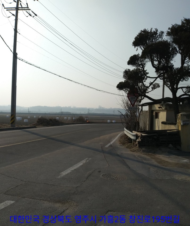 달본 이미지