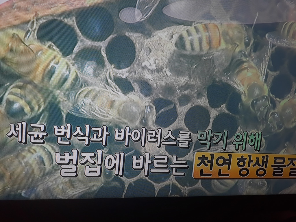 천기누설식품 이미지