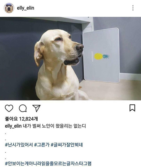 개스타그램 이미지