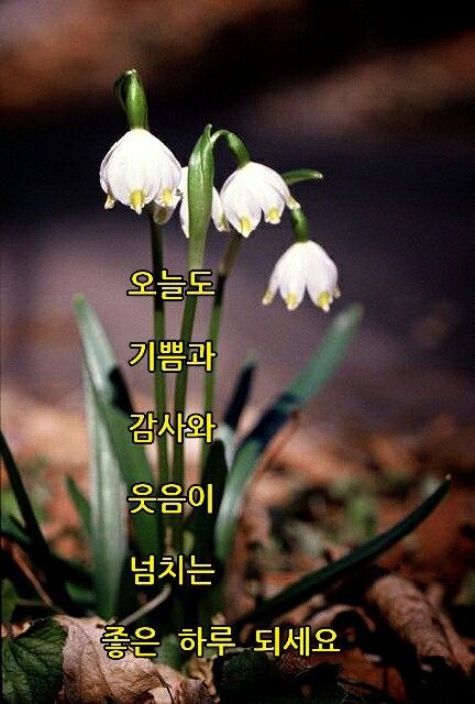 멋진하루 이미지