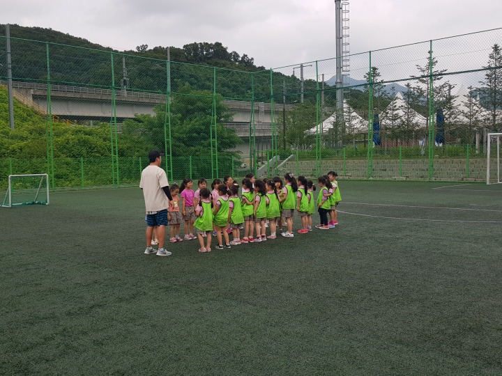 호만골 이미지