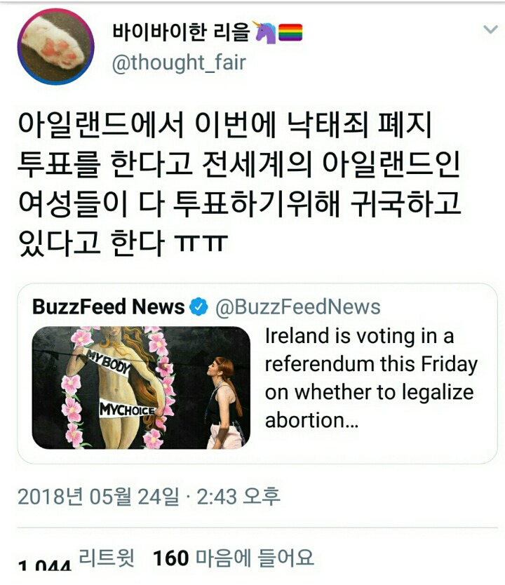 낙태죄 폐지 투표를 위해 전세계의 아일랜드 여성이 귀국중 | 인스티즈