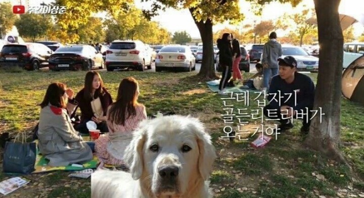 한강에서 똥을 쌌는데.... | 인스티즈