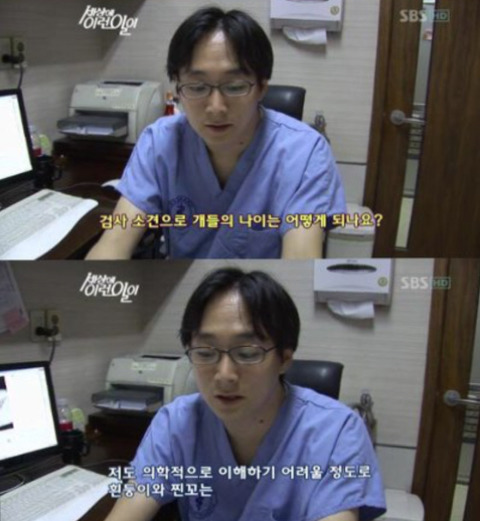 세상에 이런일이에 나온 강아지 나이 | 인스티즈
