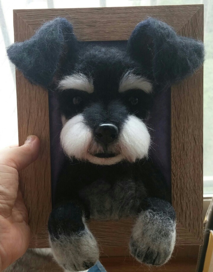펠트 이미지