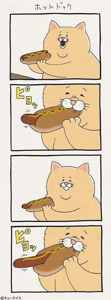 배고픈 고양이 만화 | 인스티즈