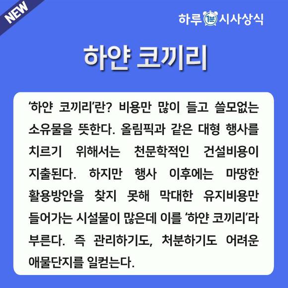 하얀코끼리 이미지