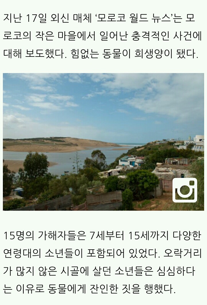 당나귀를 강간한 10대 소년들 ㄷㄷㄷ | 인스티즈
