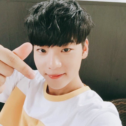 센세이션 이미지