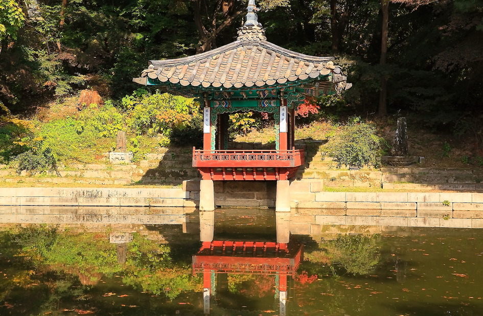 비원 이미지