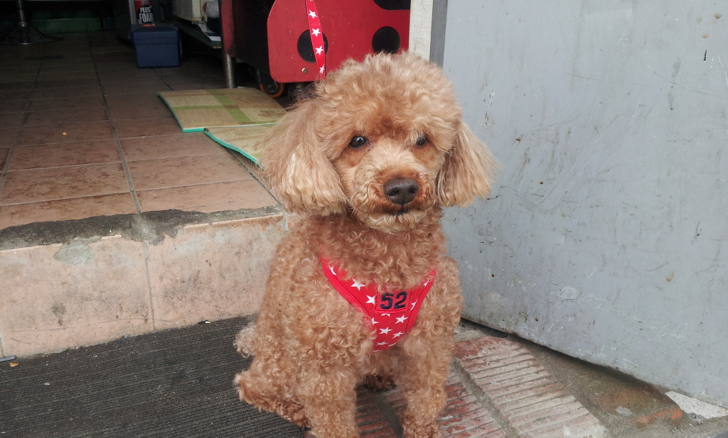 강남복지충전소 이미지