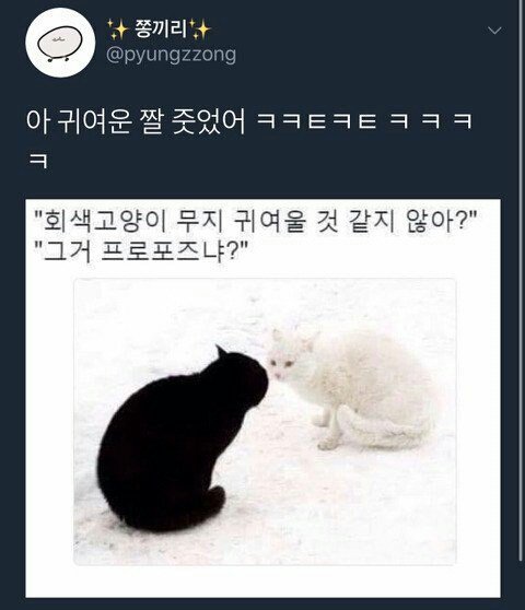 웃긴짤 모음집 | 인스티즈