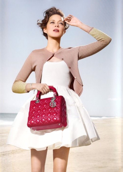 누구나 가슴속에 명품백 하나쯤은 있잖아요? 디올 레이디백 | 인스티즈