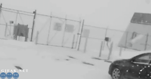 노상방뇨 대참사 | 인스티즈