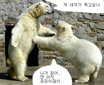터벅 이미지