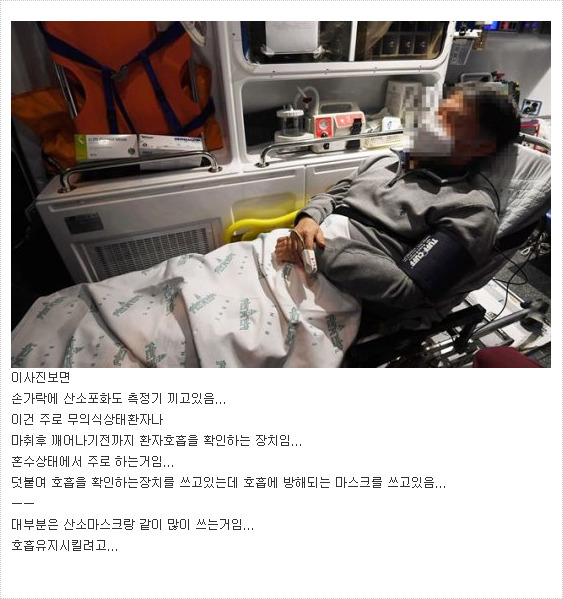 기자의 입국쇼.jpg | 인스티즈